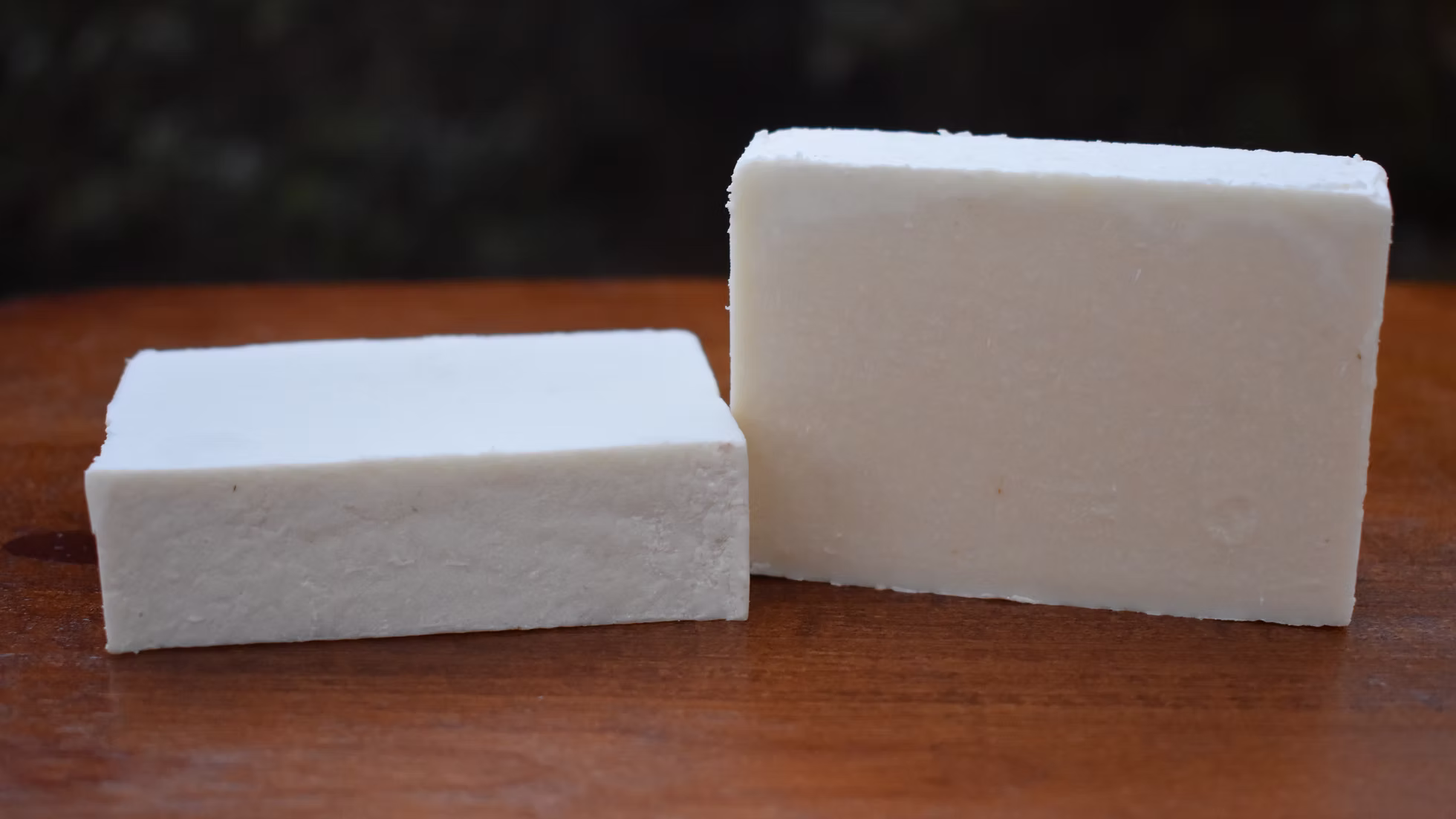Shampoo Bar